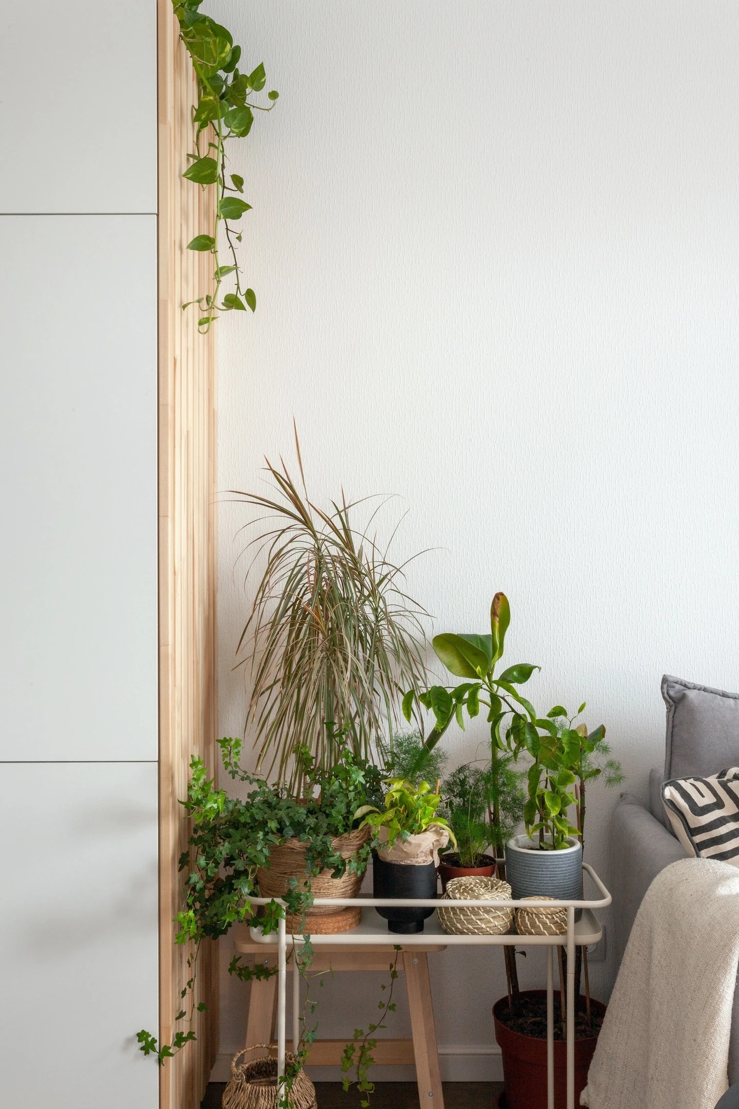 Проект "Когда просто и ничего лишнего"