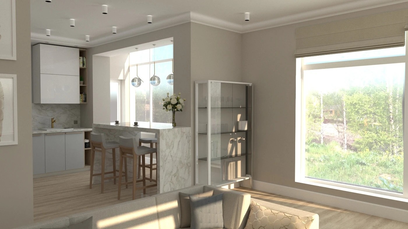 Кухня-гостиная 38 кв.м. в частном доме в д. Хязельки для молодой девушки с прекрасным видом из окна на березовую рощу и овраг