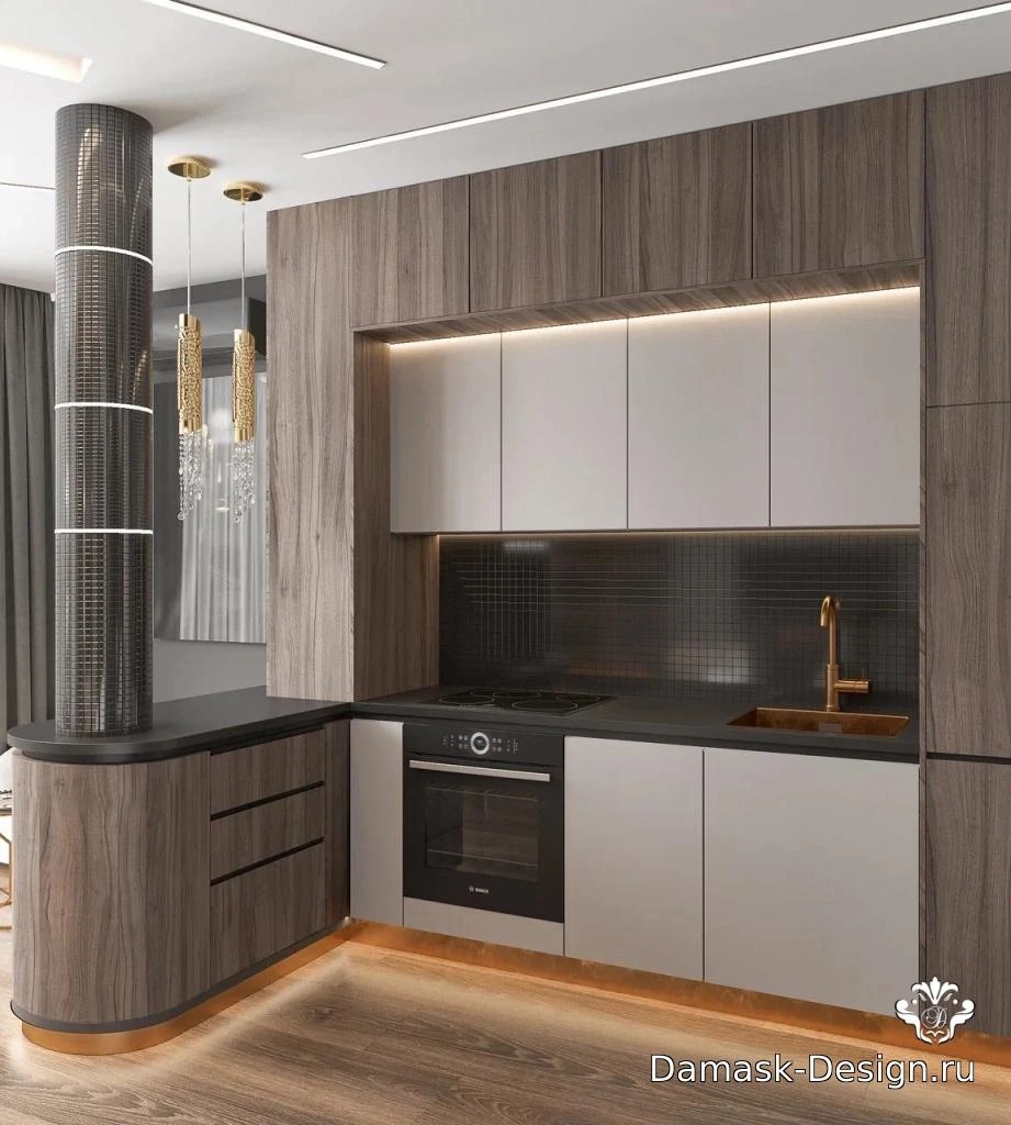 НЕОБЫЧНАЯ СТУДИЯ НА ПР. ЖУКОВА