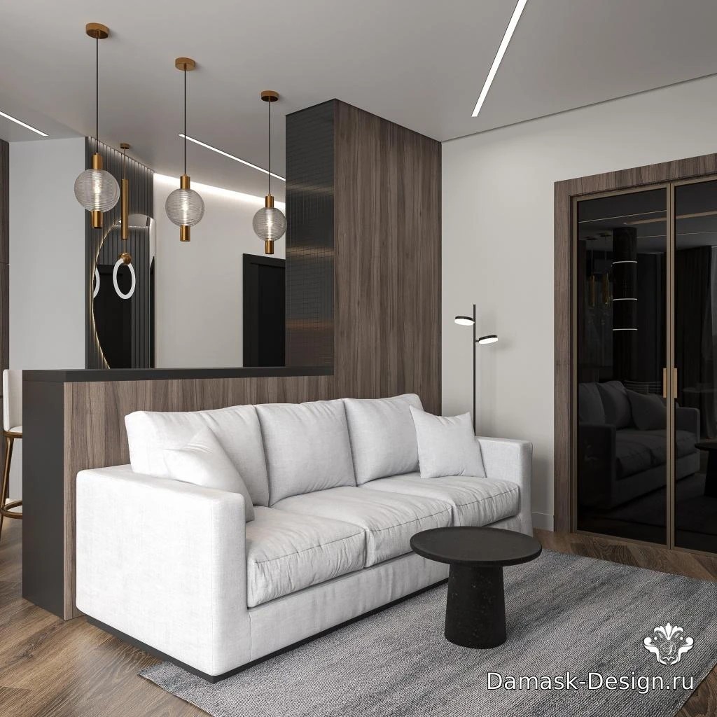 НЕОБЫЧНАЯ СТУДИЯ НА ПР. ЖУКОВА