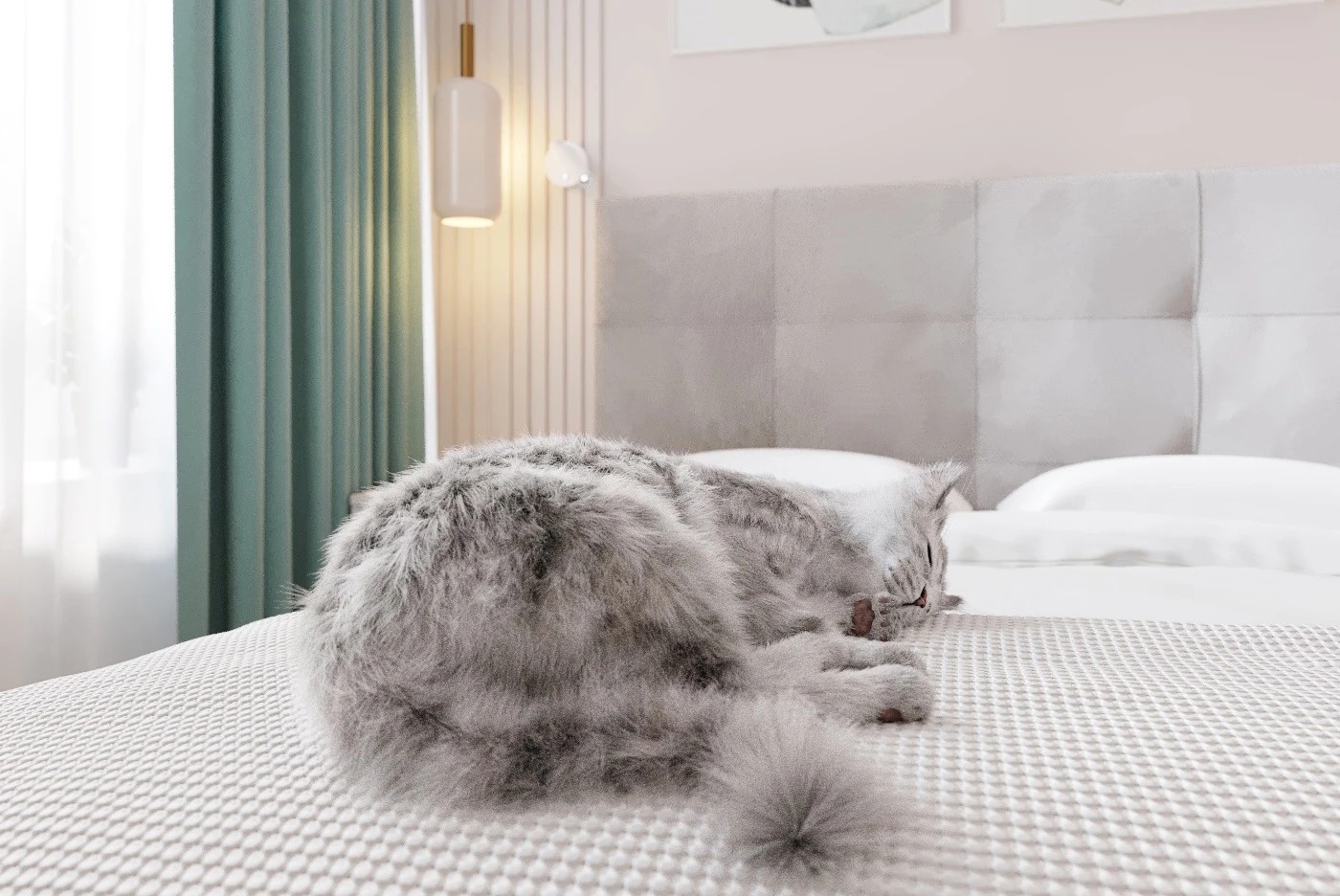 ЖК "НЬЮ ПИТЕР"