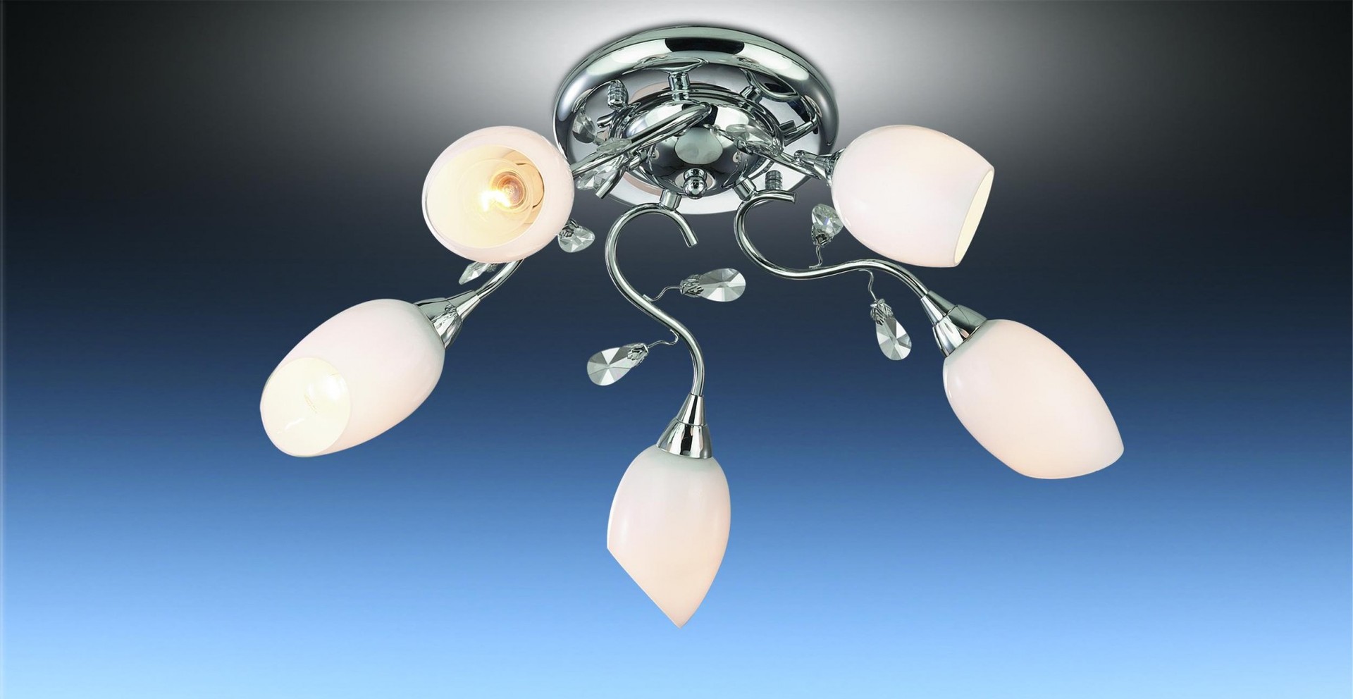 Потолочная люстра Odeon Light Fiera 1603/5