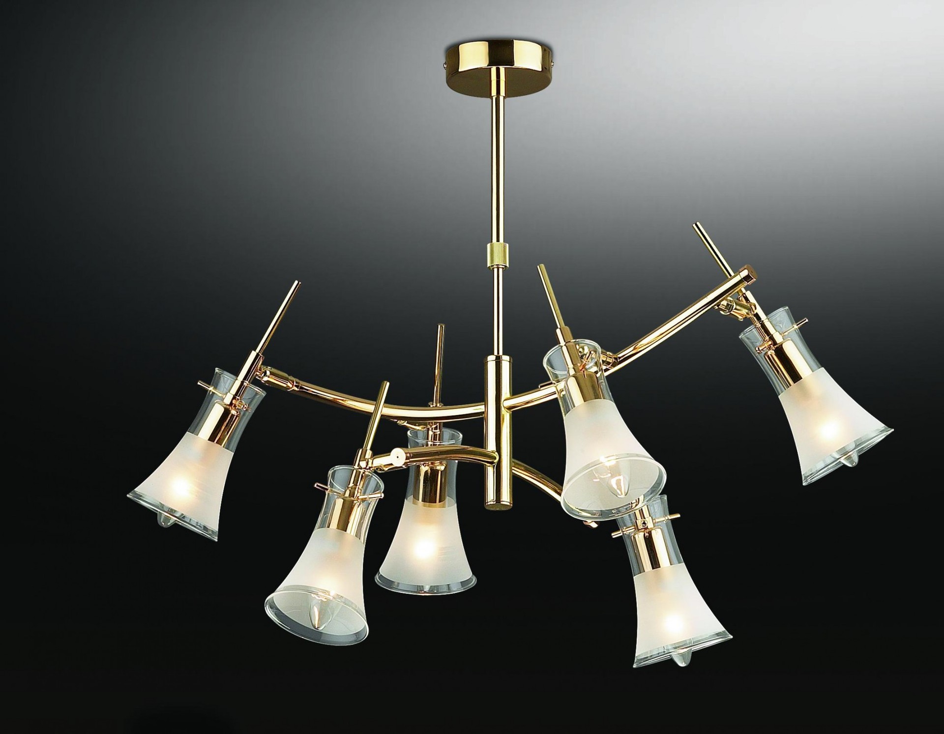 Потолочная люстра Odeon Light Zamia 1298/6