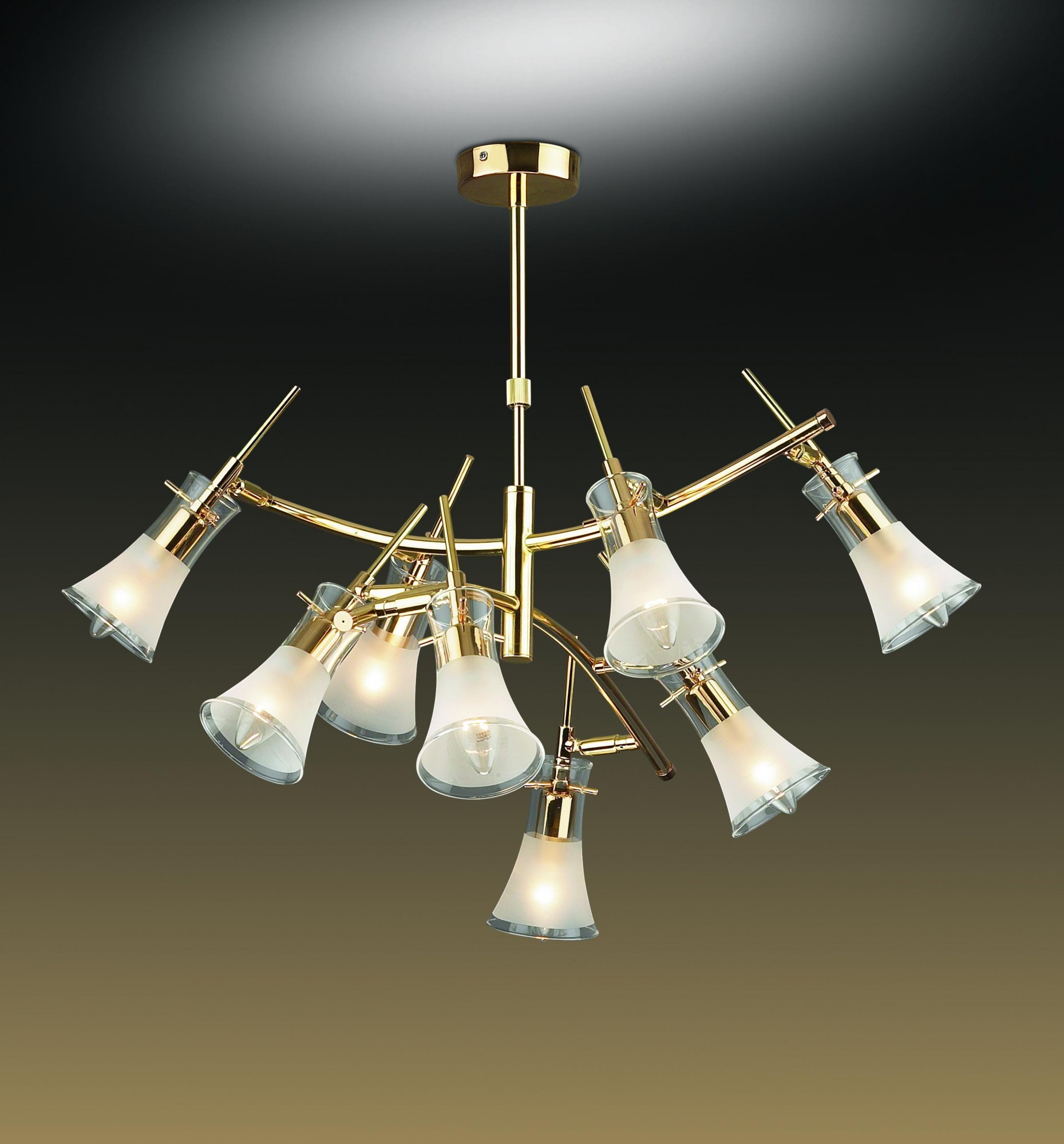 Потолочная люстра Odeon Light Zamia 1298/8