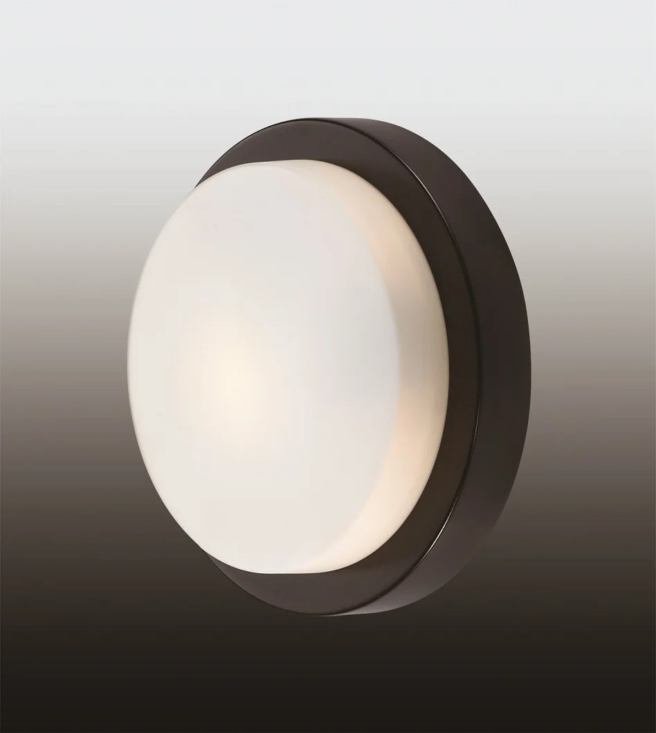 Настенно потолочный светильник Odeon Light Holger 2744/1C