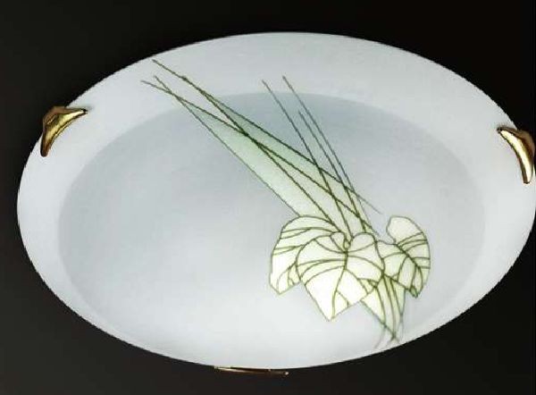 Настенно потолочный светильник Sonex VIENA 348