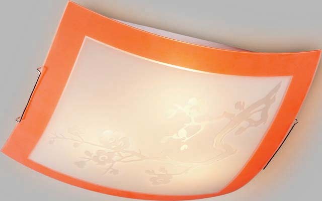 Настенно потолочный светильник Sonex SAKURA 2148