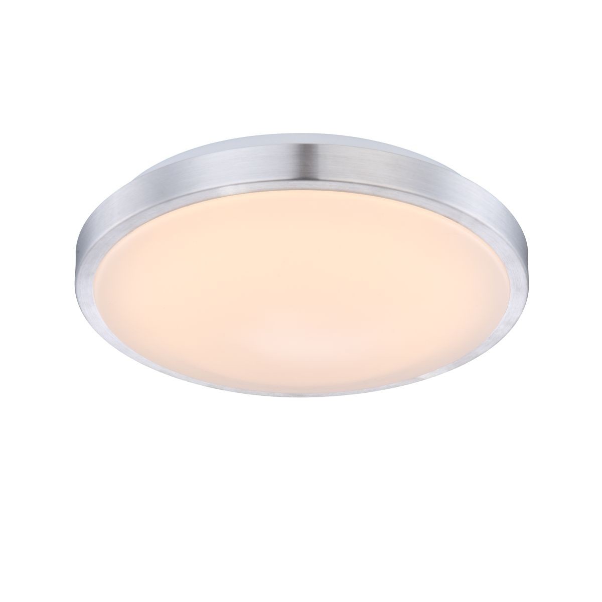 Настенно потолочный светильник Globo ROBYN 41686