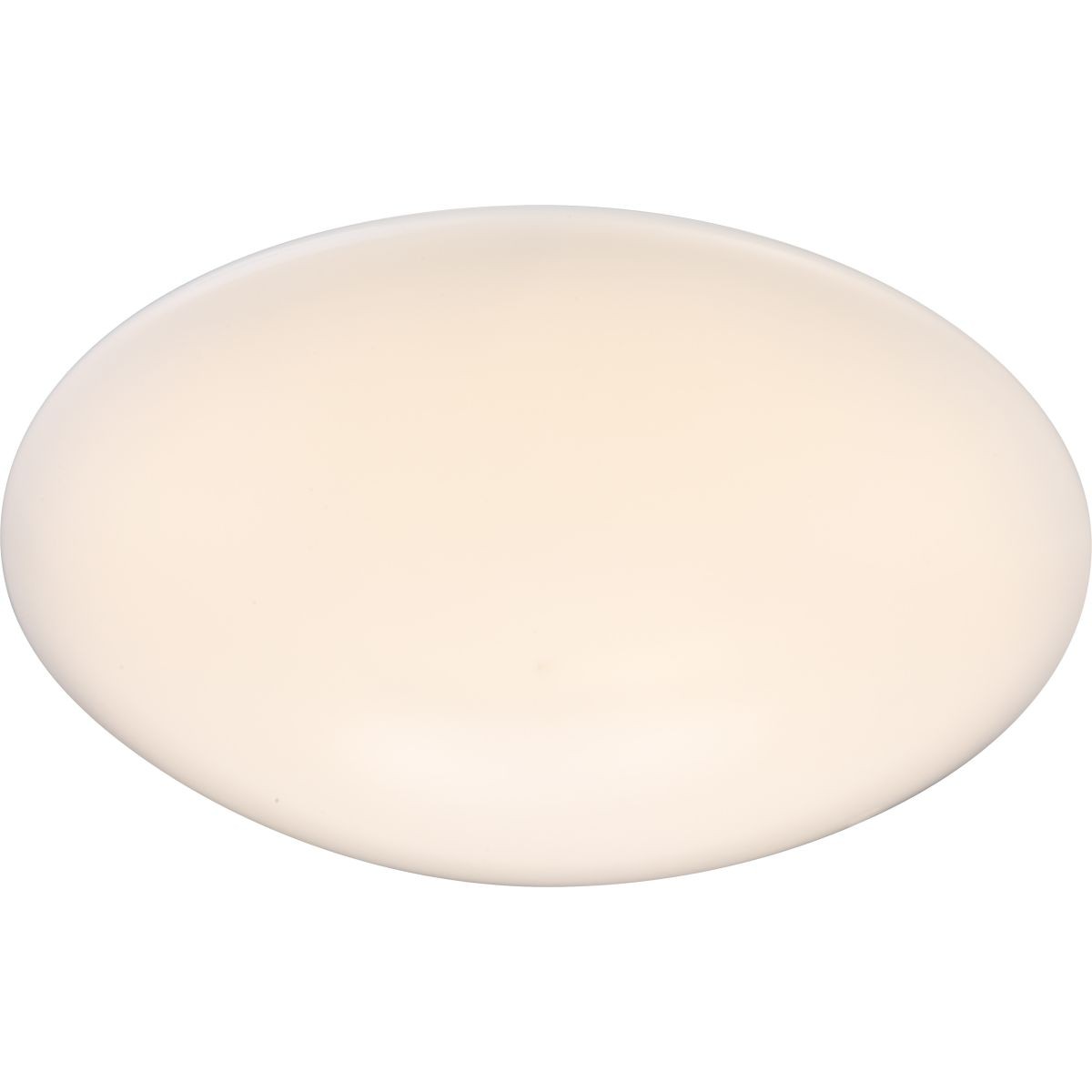 Настенно потолочный светильник Globo DANYLO 41696