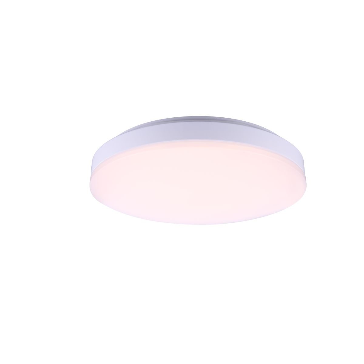 Настенно потолочный светильник Globo VOLARE 41803