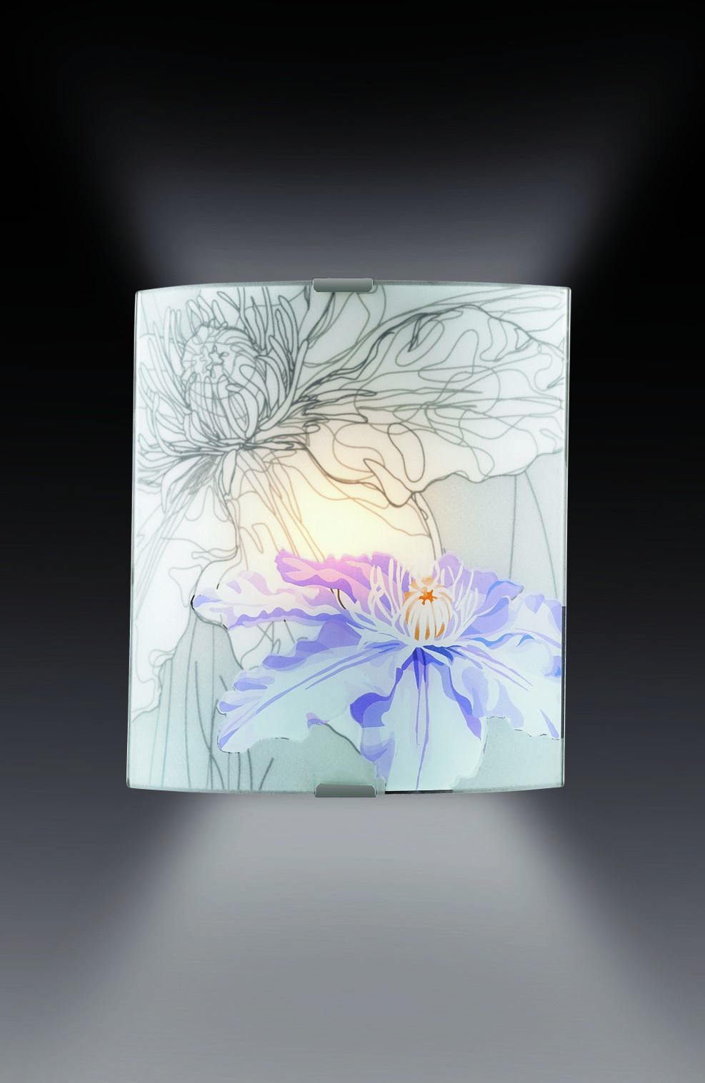 Настенно потолочный светильник Sonex 1230/A