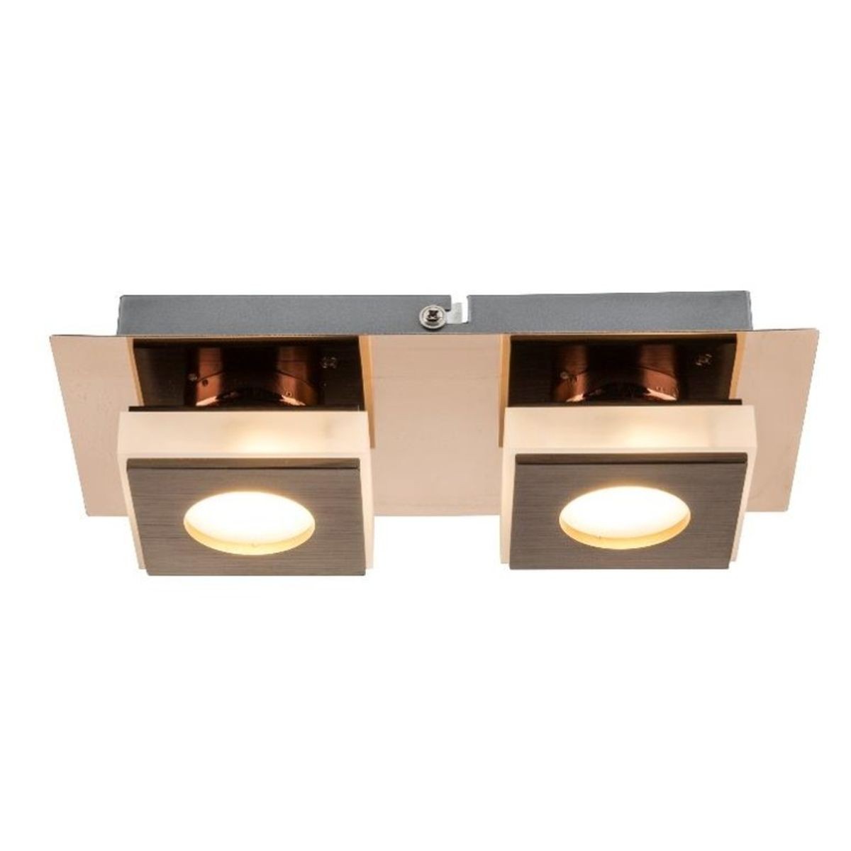 Настенно потолочный светильник Globo Cayman I 49403-2