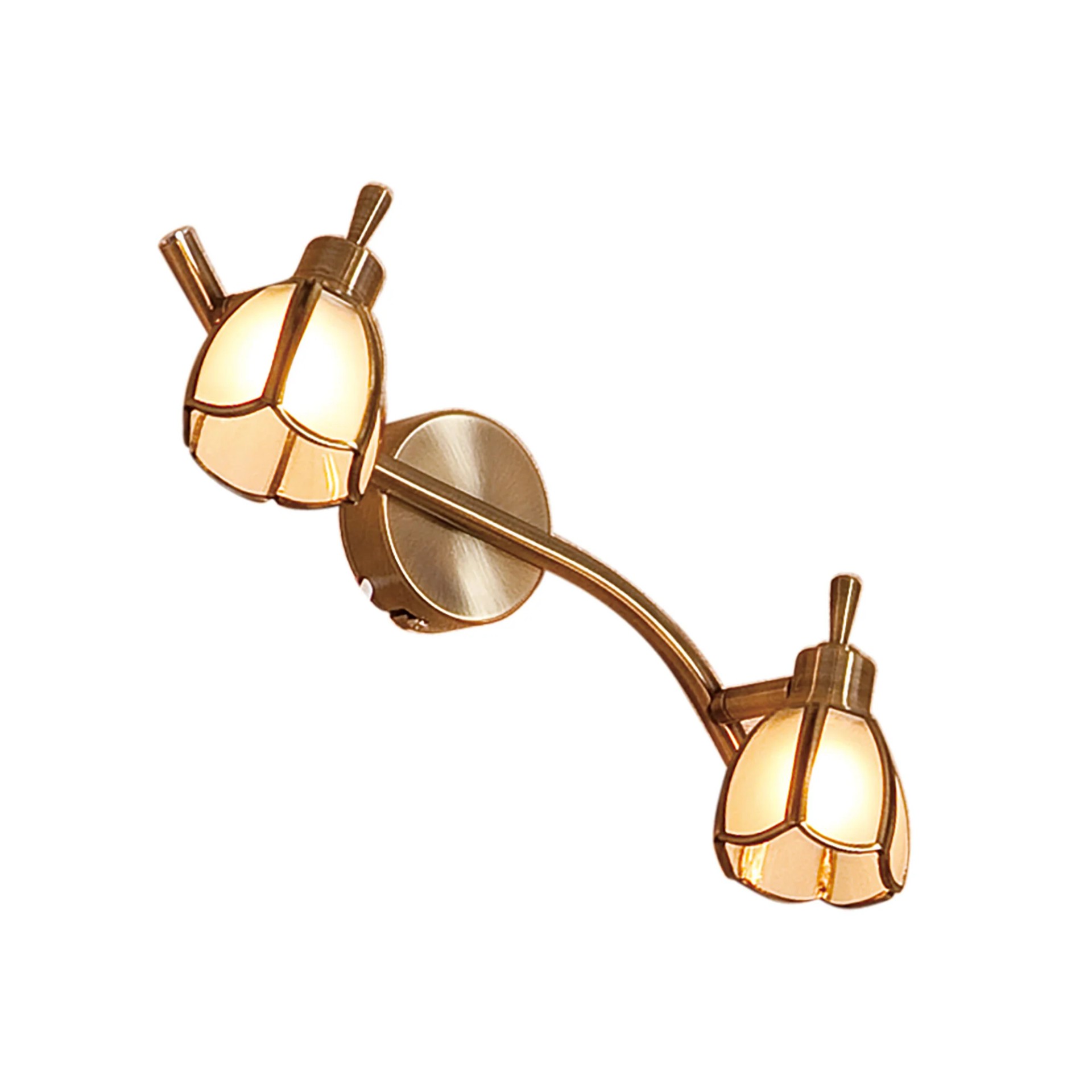 Светильник спот Citilux Альтен CL522521